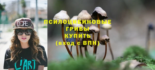 амфетамин Алексин